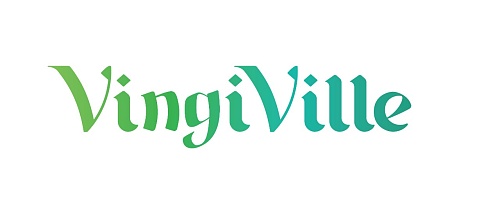 Активити-парк VingiVille
